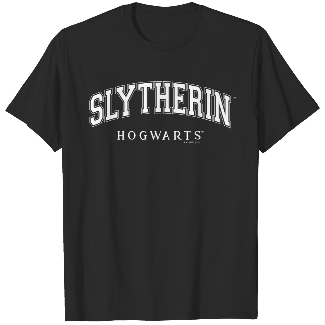 Family Vacation Slytherin T-Shirt by Harry Potter IYT