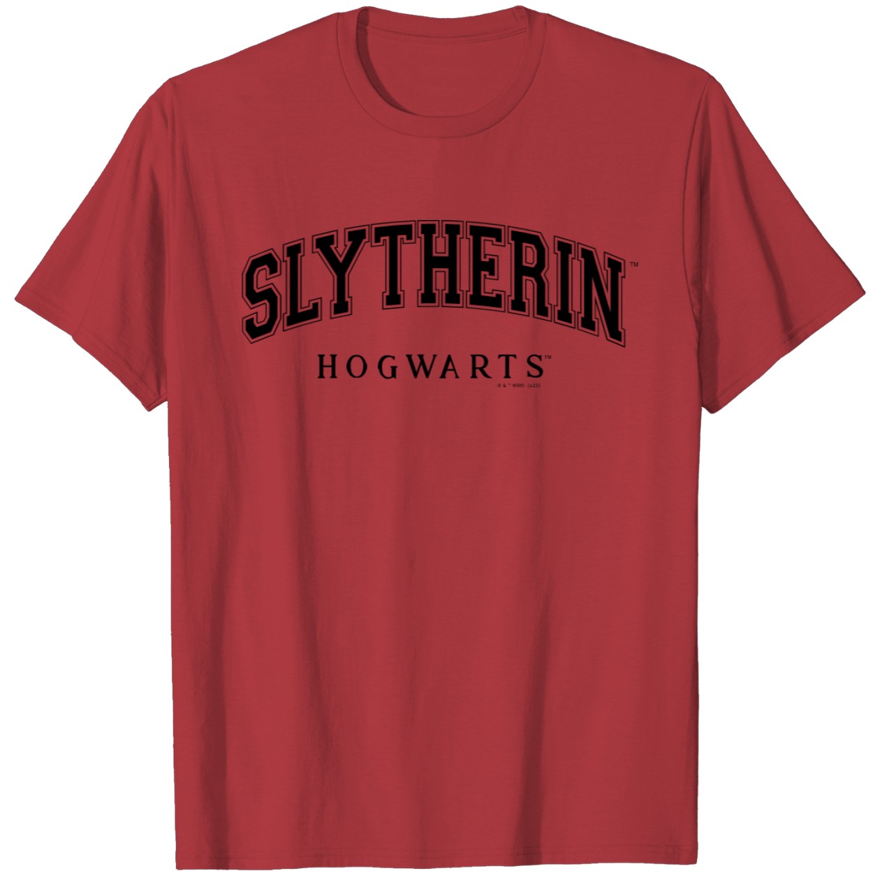 Harry Potter Slytherin Family Vacation Souvenir Tee T-Shirt IYT