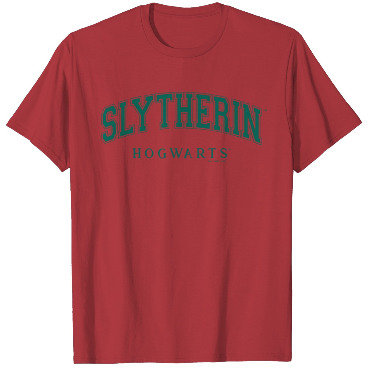 Slytherin Family Vacation Tee from Harry Potter Collection IYT